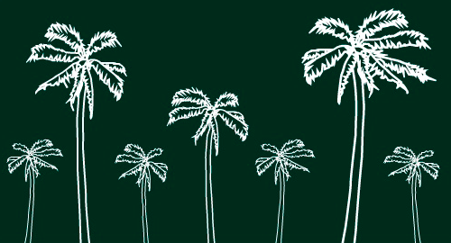 palm.png